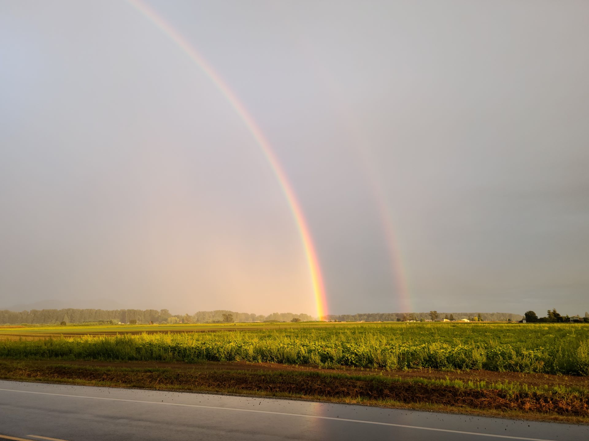 ranebow after the storm